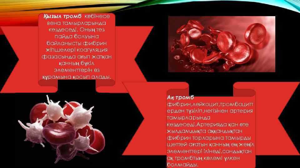 Қызыл тромб көбінесе вена тамырларында кездеседі. Оның тез пайда болуына байланысты фибрин жіпшелері коагуляция
