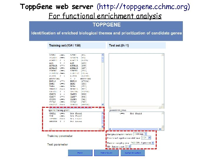 Topp. Gene web server (http: //toppgene. cchmc. org) For functional enrichment analysis 