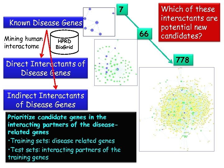 7 Known Disease Genes Mining human interactome HPRD Bio. Grid Direct Interactants of Disease