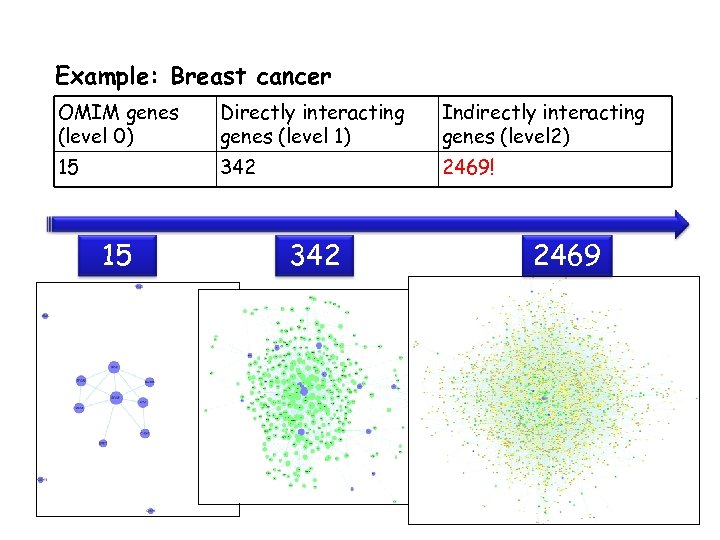 Example: Breast cancer OMIM genes (level 0) Directly interacting genes (level 1) Indirectly interacting