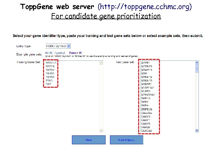 Topp. Gene web server (http: //toppgene. cchmc. org) For candidate gene prioritization 