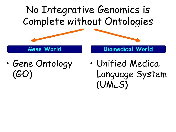 No Integrative Genomics is Complete without Ontologies Gene World • Gene Ontology (GO) Biomedical