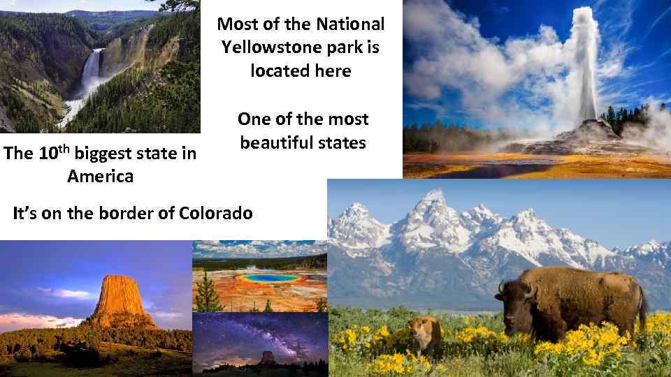 Most of the National Yellowstone park is located here The 10 th biggest state