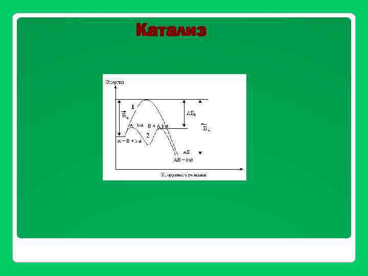Катализ 