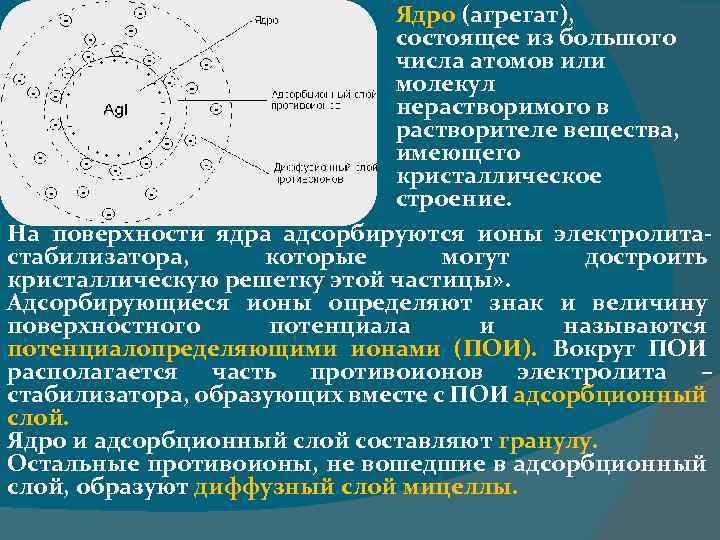 Состоит из большого количества. Агрегат ядро гранула мицелла. Адсорбционный слой мицеллы. Ядро мицеллы. Адсорбционный и диффузный слой в мицелле.