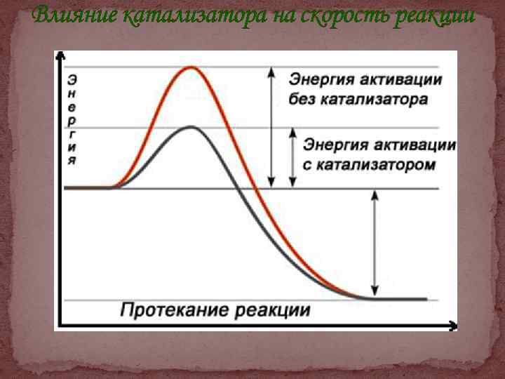 Влияние катализатора на скорость реакции 