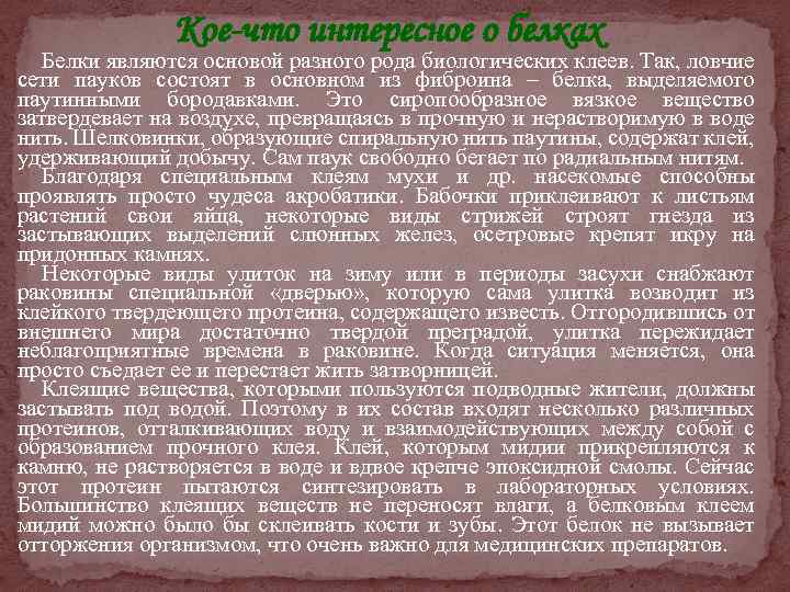 Кое-что интересное о белках Белки являются основой разного рода биологических клеев. Так, ловчие сети