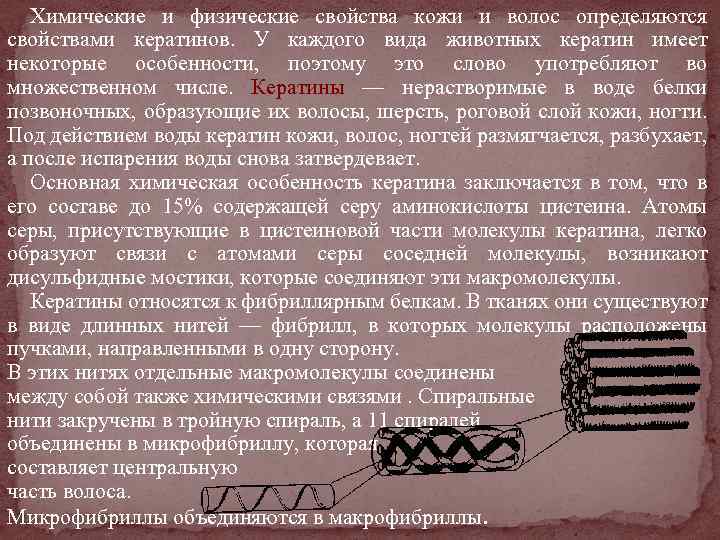 Химические и физические свойства кожи и волос определяются свойствами кератинов. У каждого вида животных