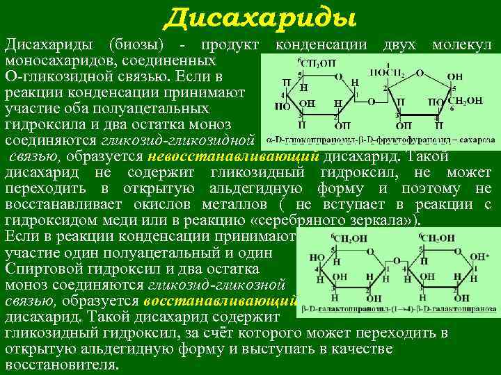 Дисахариды и полисахариды презентация