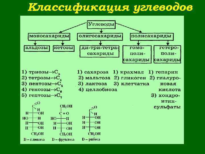 Классификация углеводов 