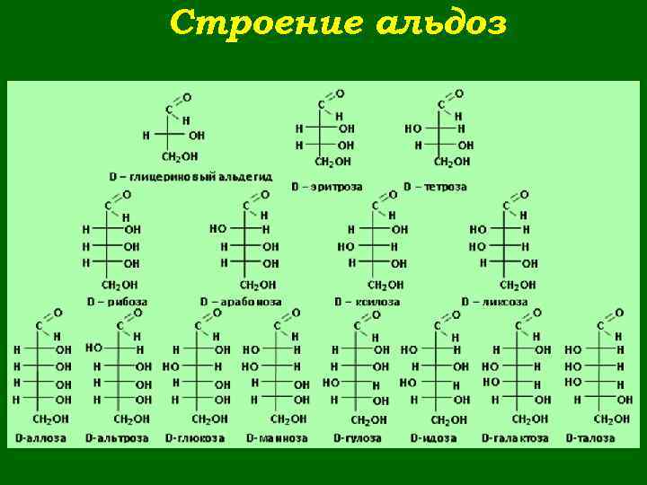 Строение альдоз 