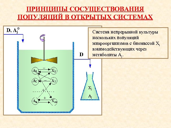 ПРИНЦИПЫ СОСУЩЕСТВОВАНИЯ ПОПУЛЯЦИЙ В ОТКРЫТЫХ СИСТЕМАХ Система непрерывной культуры нескольких популяций микроорганизмов с биомассой