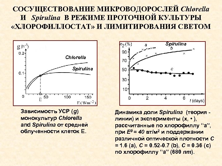 СОСУЩЕСТВОВАНИЕ МИКРОВОДОРОСЛЕЙ Chlorella И Spirulina В РЕЖИМЕ ПРОТОЧНОЙ КУЛЬТУРЫ «ХЛОРОФИЛЛОСТАТ» И ЛИМИТИРОВАНИЯ СВЕТОМ Spirulina