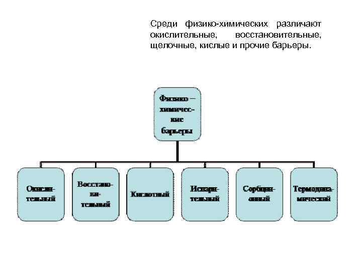 Среди физико химических различают окислительные, восстановительные, щелочные, кислые и прочие барьеры. 