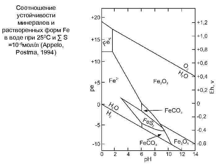 Соотношение устойчивости минералов и растворенных форм Fe в воде при 250 С и ∑