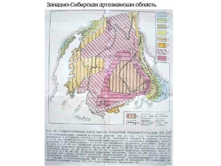 Западно Сибирская артезианская область 