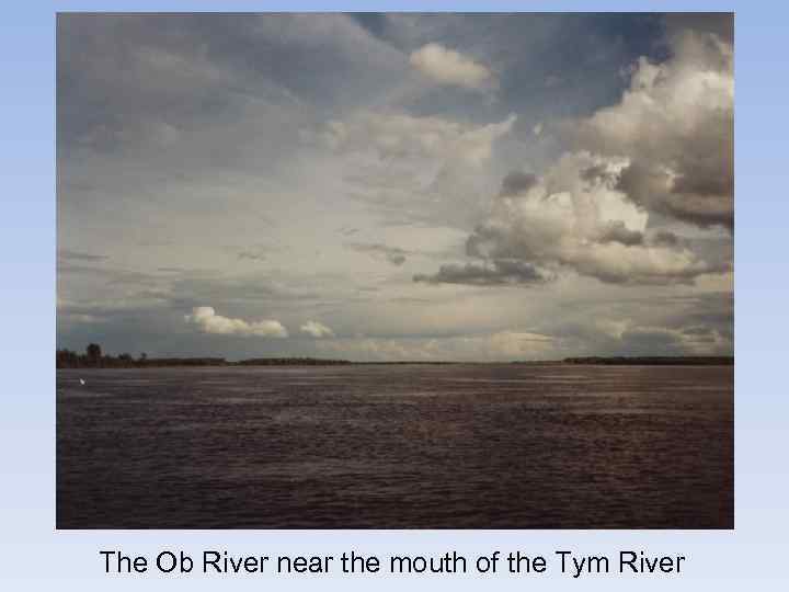 The Ob River near the mouth of the Tym River 