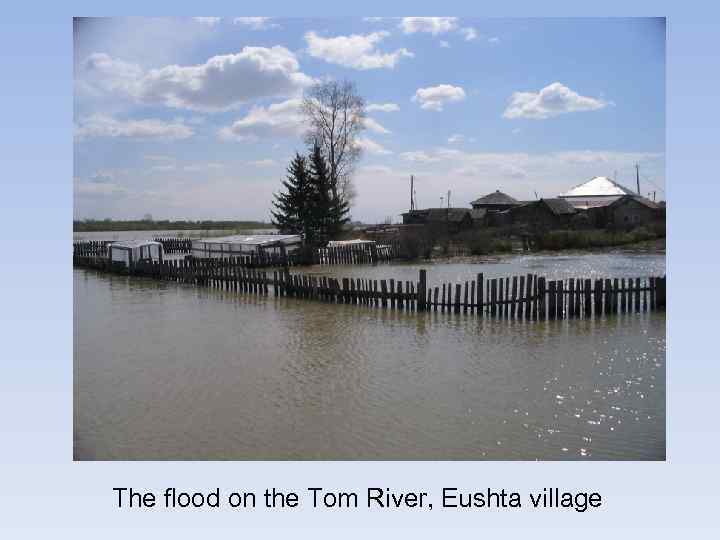 The flood on the Tom River, Eushta village 