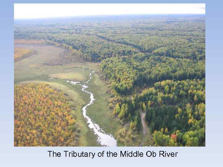 The Tributary of the Middle Ob River 