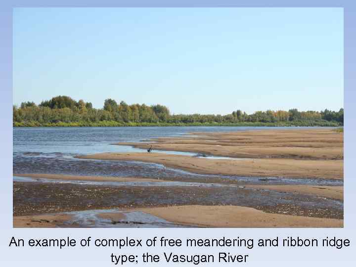 An example of complex of free meandering and ribbon ridge type; the Vasugan River