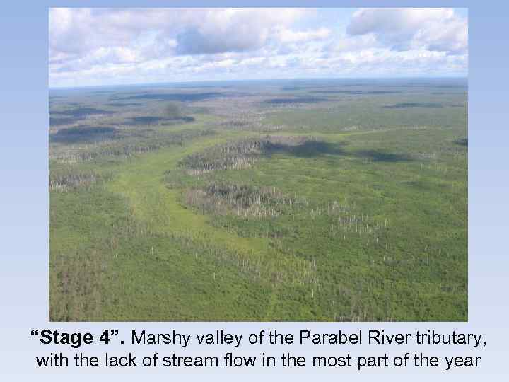 “Stage 4”. Marshy valley of the Parabel River tributary, with the lack of stream