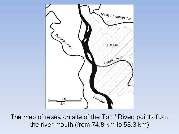 The map of research site of the Tom‘ River; points from the river mouth