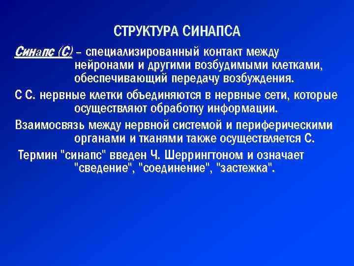 СТРУКТУРА СИНАПСА Синa пс (С) – специализированный контакт между нейронами и другими возбудимыми клетками,
