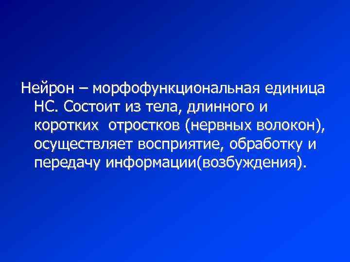 Нейрон – морфофункциональная единица НС. Состоит из тела, длинного и коротких отростков (нервных волокон),