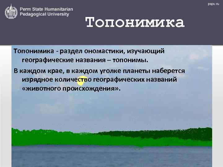 Топонимика - раздел ономастики, изучающий географические названия – топонимы. В каждом крае, в каждом