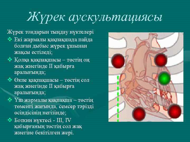 Жүрек аускультациясы Жүрек тондарын тыңдау нүктелері v Екі жармалы қақпақшада пайда болған дыбыс жүрек