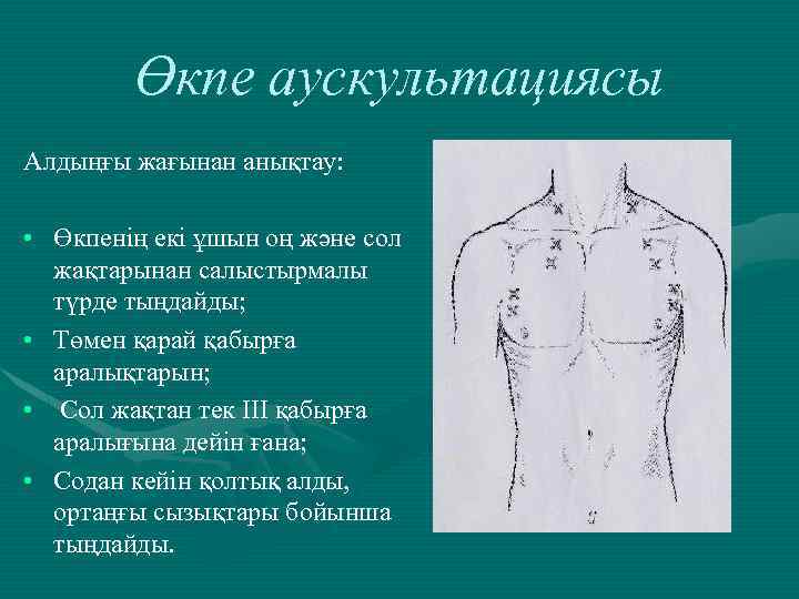 Өкпе аускультациясы Алдыңғы жағынан анықтау: • Өкпенің екі ұшын оң және сол жақтарынан салыстырмалы