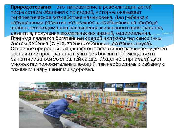 Ø Природотерапия – это направление в реабилитации детей посредством общения с природой, которое оказывает