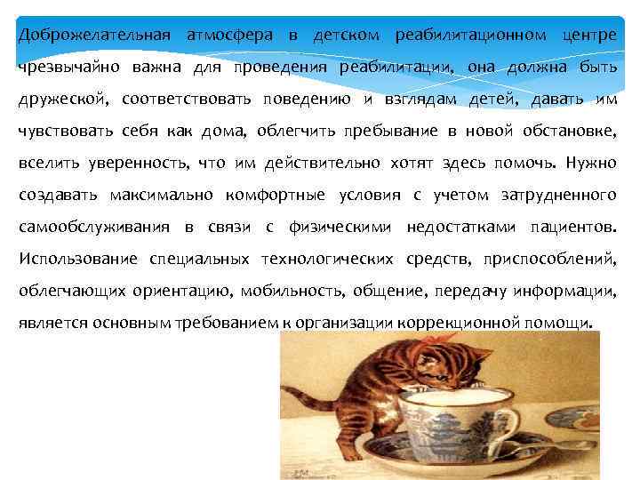 Доброжелательная атмосфера в детском реабилитационном центре чрезвычайно важна для проведения реабилитации, она должна быть