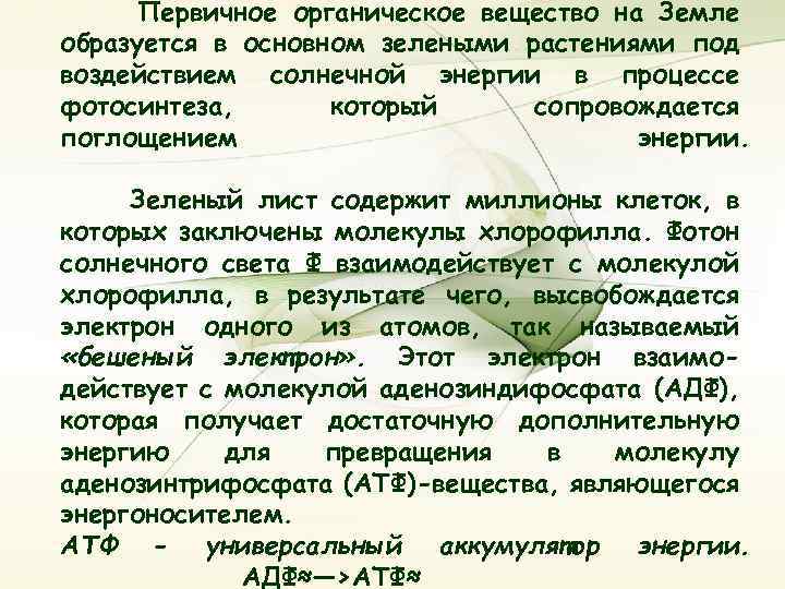 Первичное органическое вещество на Земле образуется в основном зелеными растениями под воздействием солнечной энергии