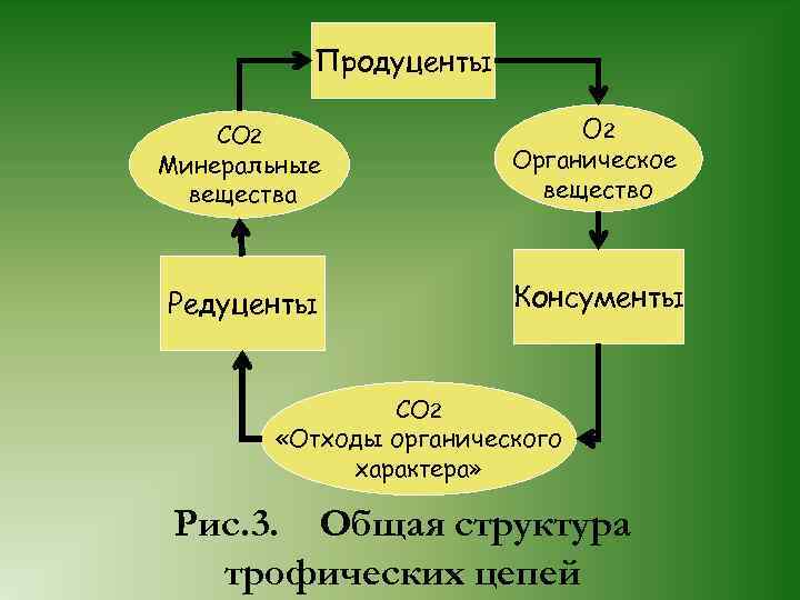 Продуценты О 2 СО 2 Минеральные вещества Органическое вещество Редуценты Консументы СО 2 «Отходы