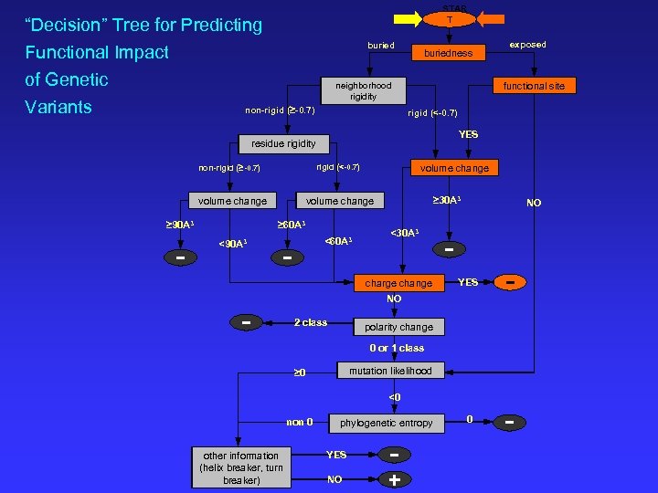 STAR T “Decision” Tree for Predicting Functional Impact of Genetic Variants buriedness neighborhood rigidity