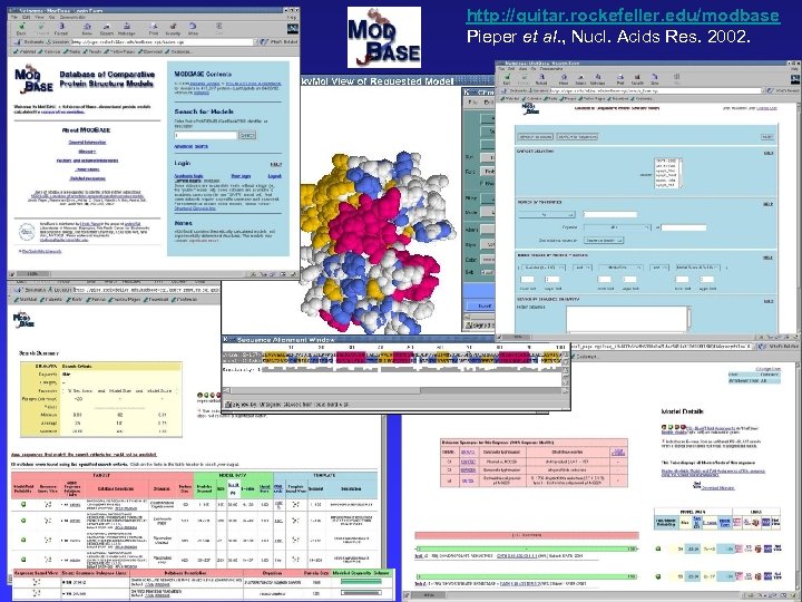 http: //guitar. rockefeller. edu/modbase Pieper et al. , Nucl. Acids Res. 2002. 
