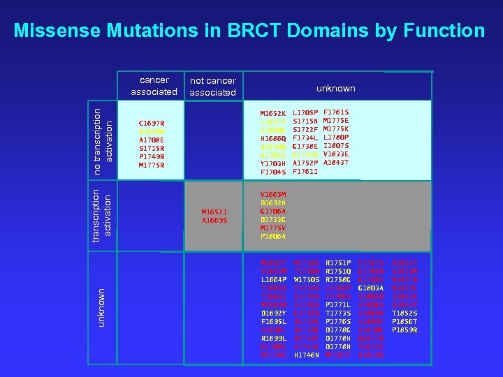 Missense Mutations in BRCT Domains by Function unknown transcription activation no transcription activation cancer