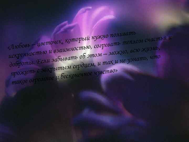 о поливать торый нужн м счастья и , ко о к ь – цветоче