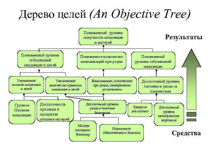 Дерево задач проекта