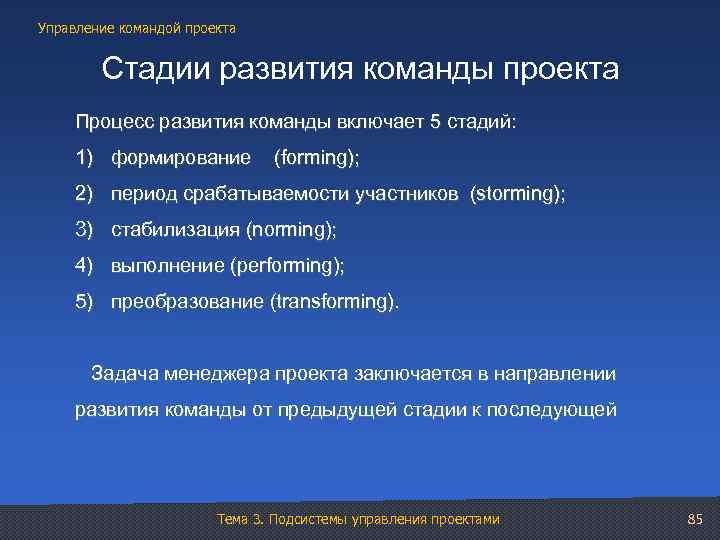 Управление командой проекта реферат