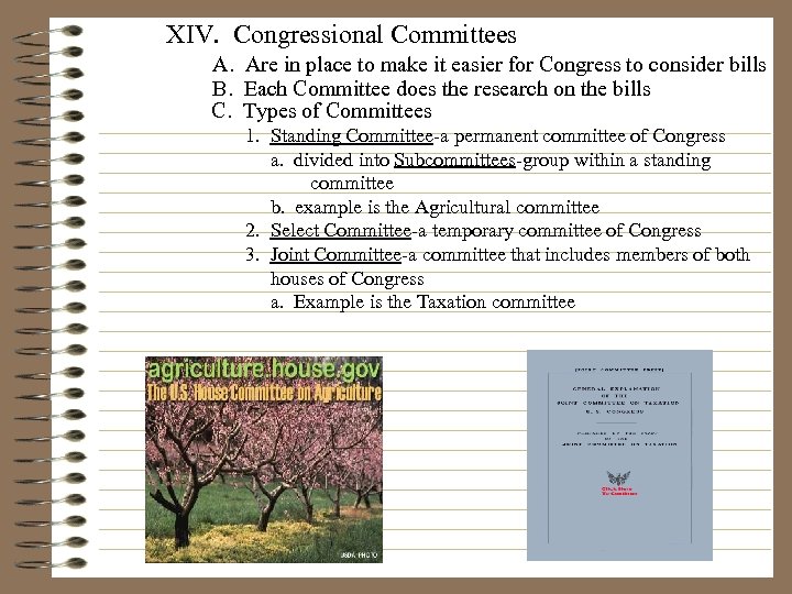 XIV. Congressional Committees A. Are in place to make it easier for Congress to