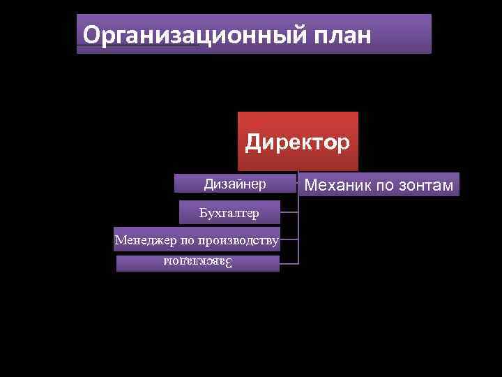 Организационный план Директор Дизайнер Бухгалтер Менеджер по производству Механик по зонтам Завскладом 