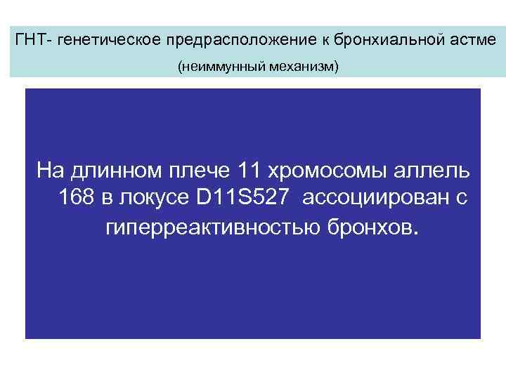 ГНТ- генетическое предрасположение к бронхиальной астме (неиммунный механизм) На длинном плече 11 хромосомы аллель