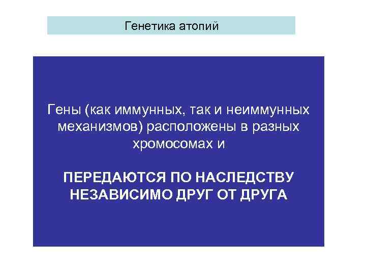 Генетика атопий Гены (как иммунных, так и неиммунных механизмов) расположены в разных хромосомах и