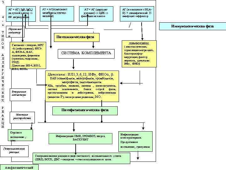  З АТ + АГ (циркули. АТ + АГ(компонент АГ + АТ ( Ig.