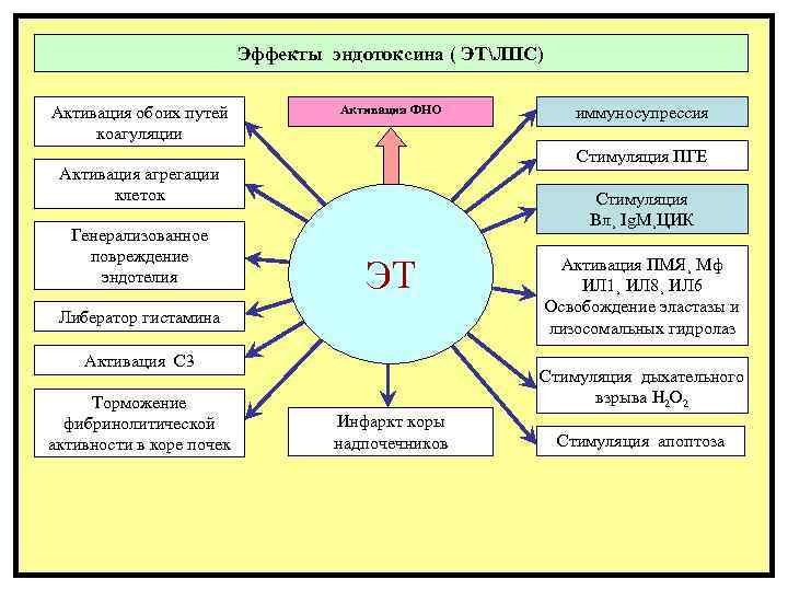 Эффекты эндотоксина ( ЭТЛПС) Активация обоих путей коагуляции Активация ФНО Стимуляция ПГЕ Активация агрегации