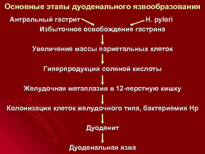 Основные этапы дуоденального язвообразования Антральный гастрит H. pylori Избыточное освобождение гастрина Увеличение массы париетальных