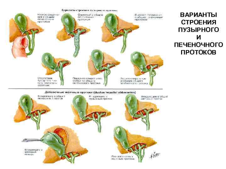 Функциональный фон в брюшной полости