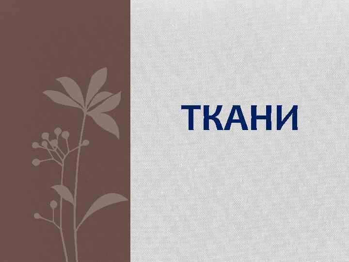 ТКАНИ 